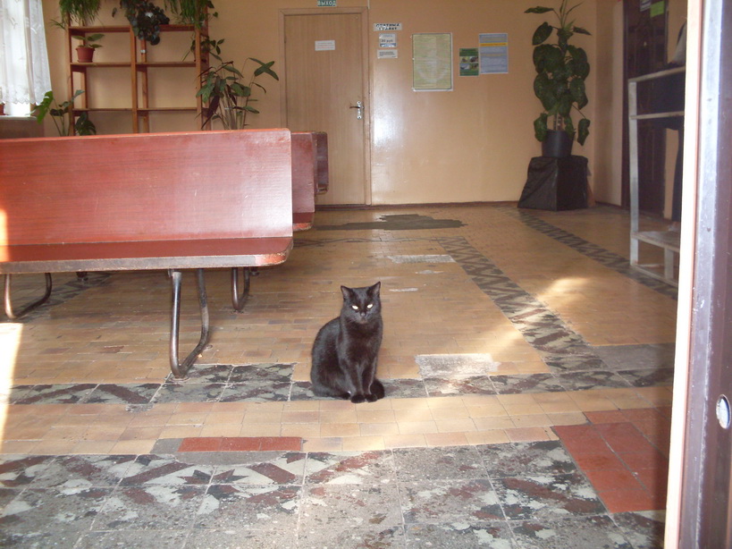 SDC12424.JPG