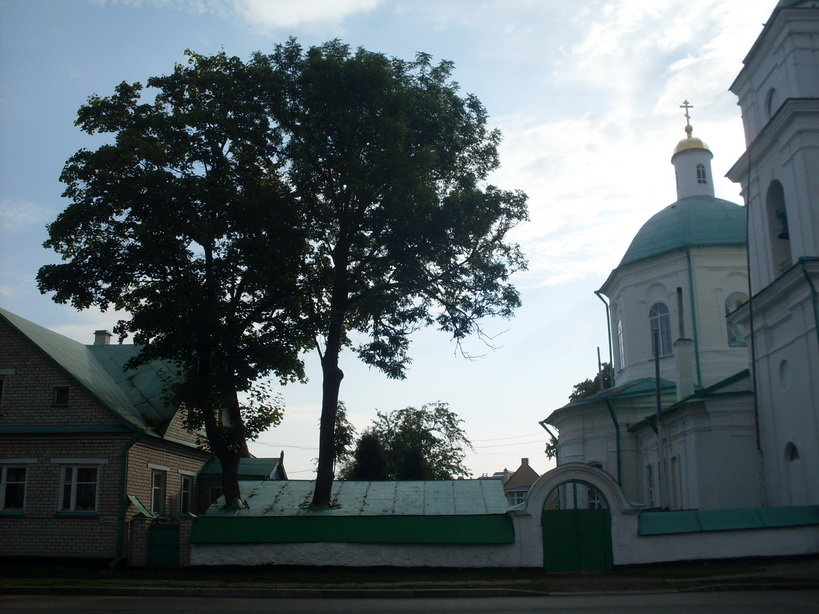 SDC12436.JPG