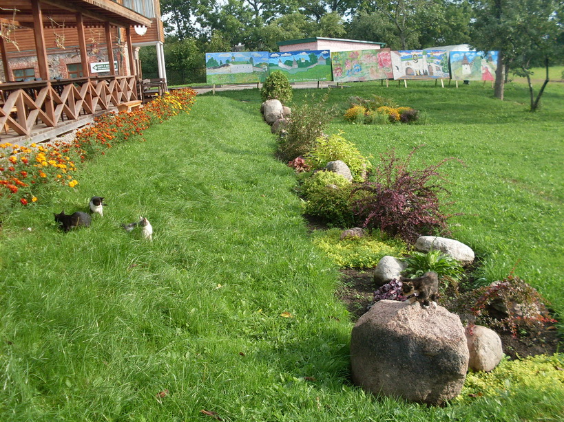 SDC12448.JPG