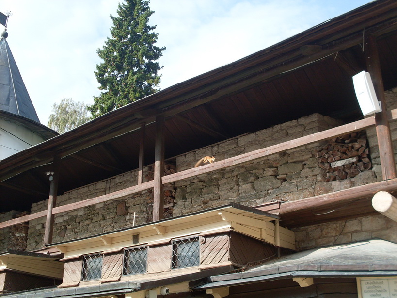 SDC12493.JPG