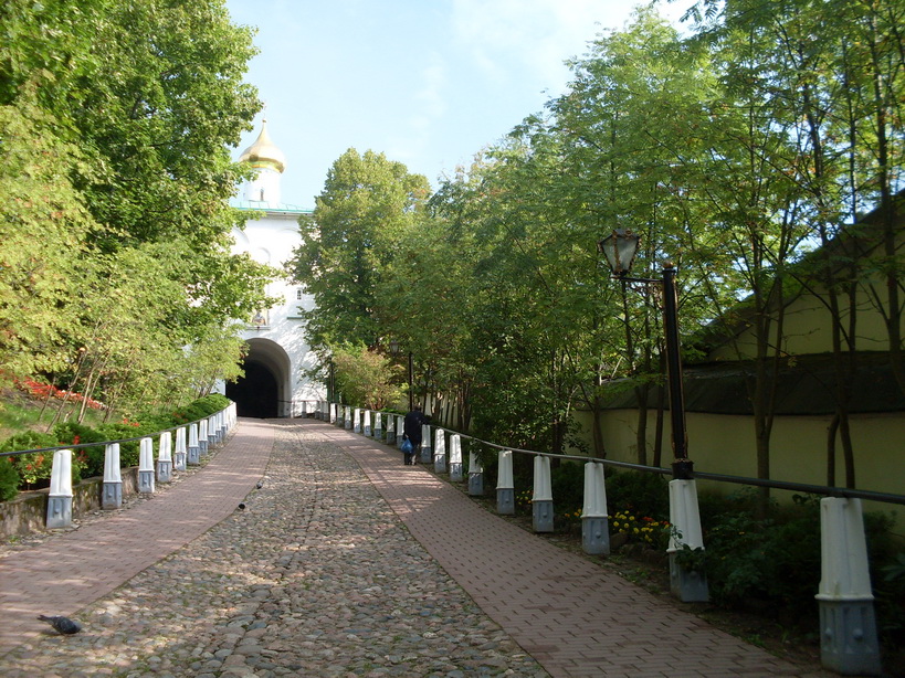 SDC12503.JPG