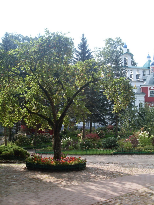 SDC12506.JPG