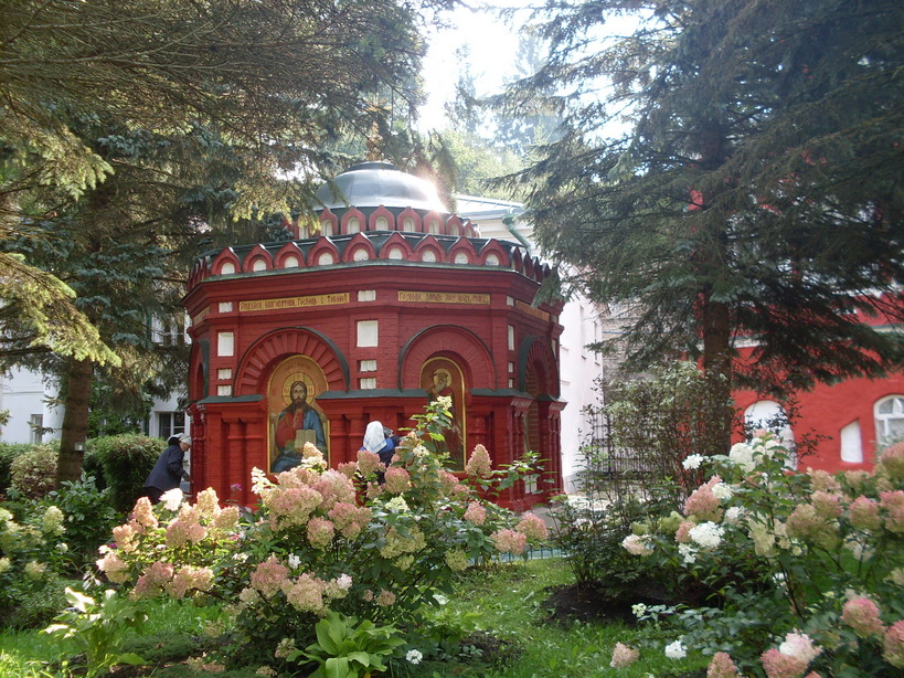 SDC12512.JPG
