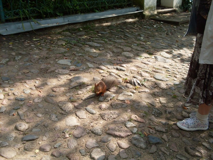 SDC12520.JPG