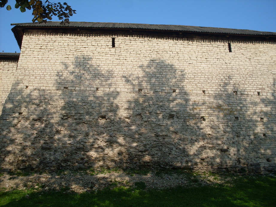 SDC12551.JPG