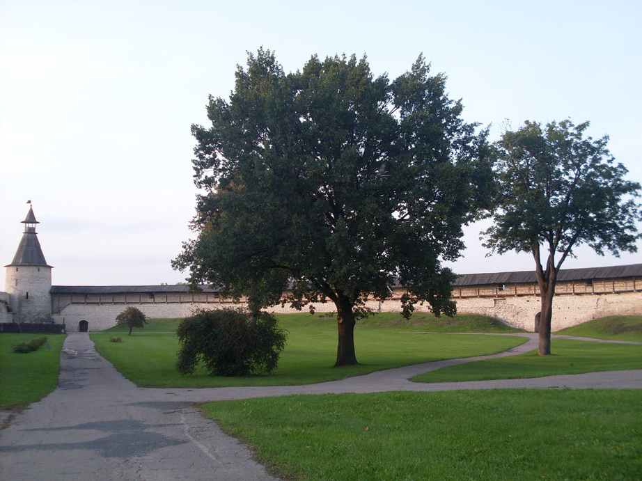 SDC12623.JPG