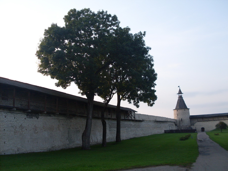 SDC12624.JPG