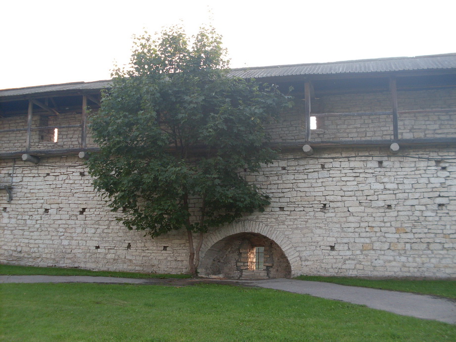 SDC12625.JPG