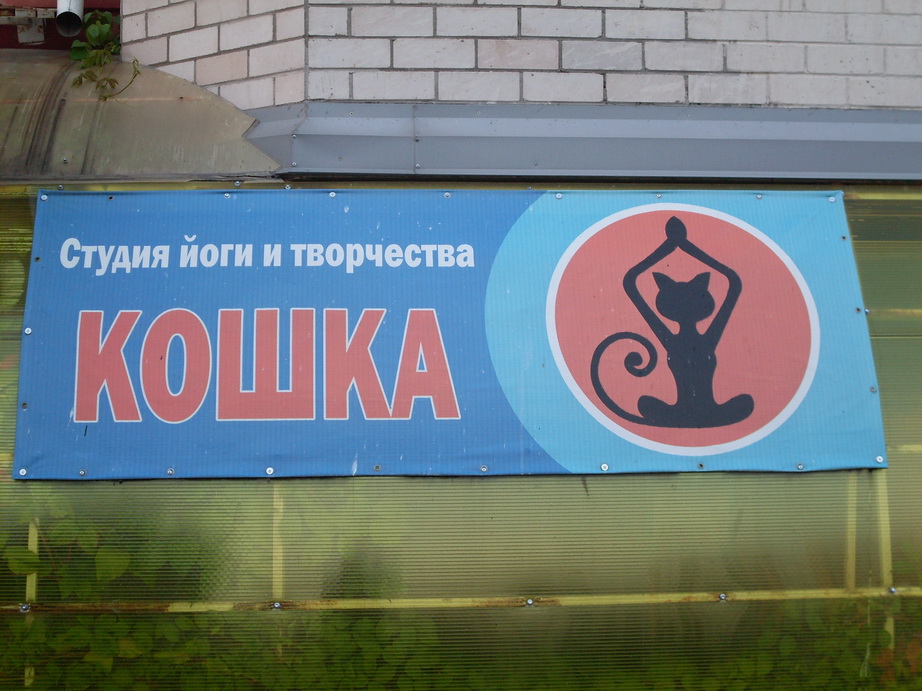 SDC12689.JPG