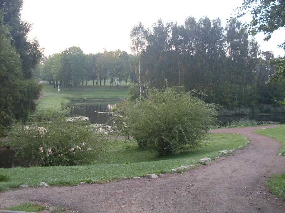 SDC12691.JPG