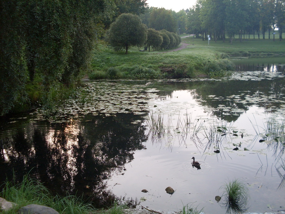 SDC12696.JPG