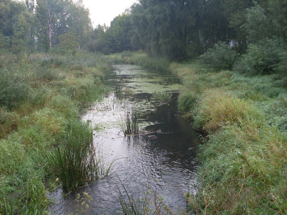 SDC12697.JPG