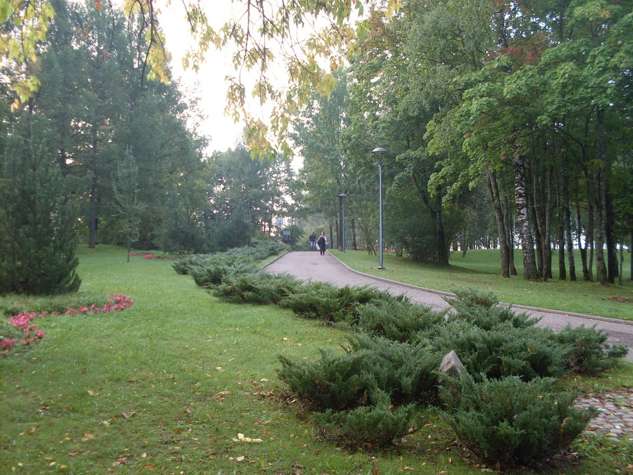 SDC12701.JPG