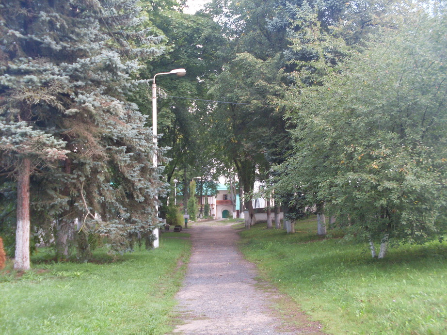 SDC12703.JPG