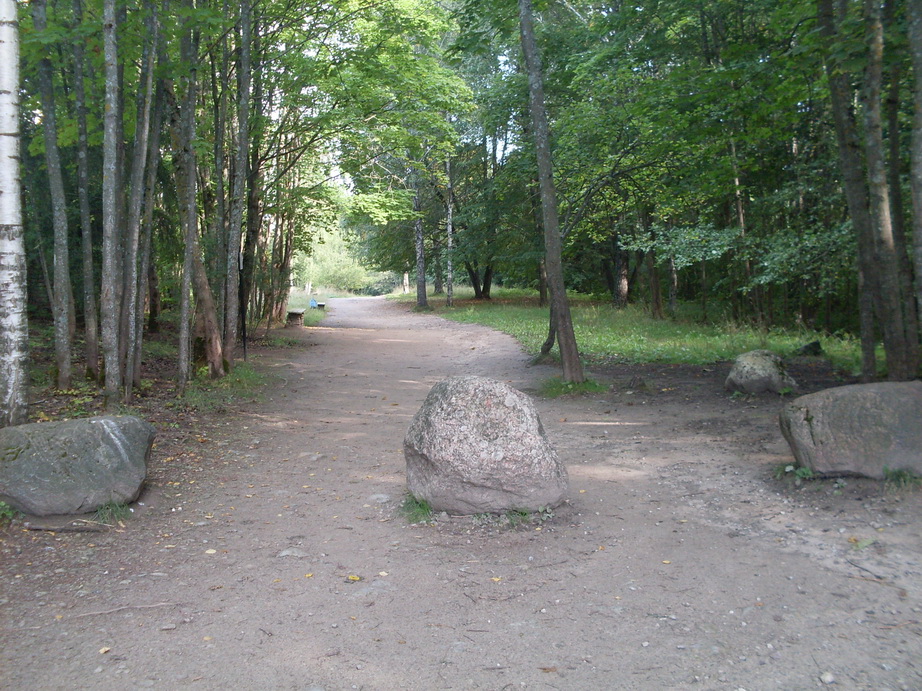 SDC12796.JPG