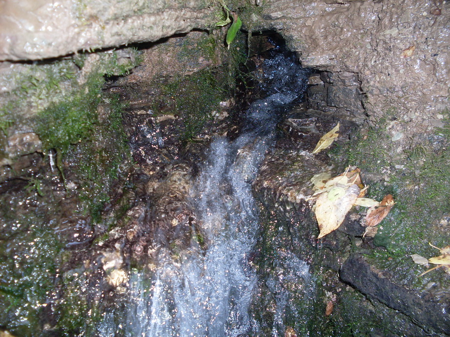 SDC12807.JPG