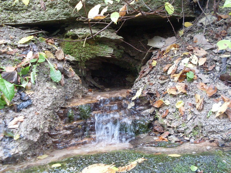 SDC12811.JPG