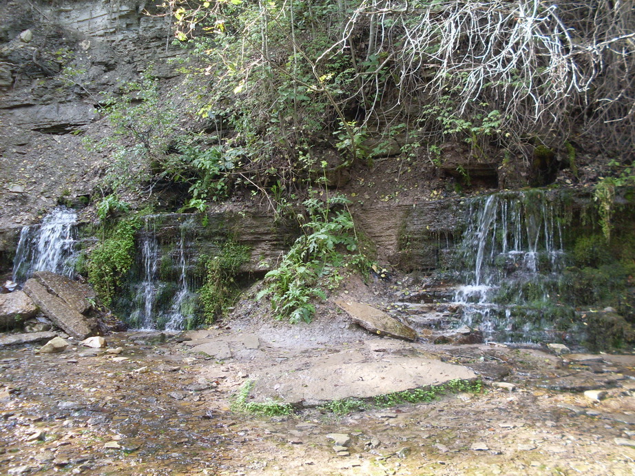 SDC12813.JPG