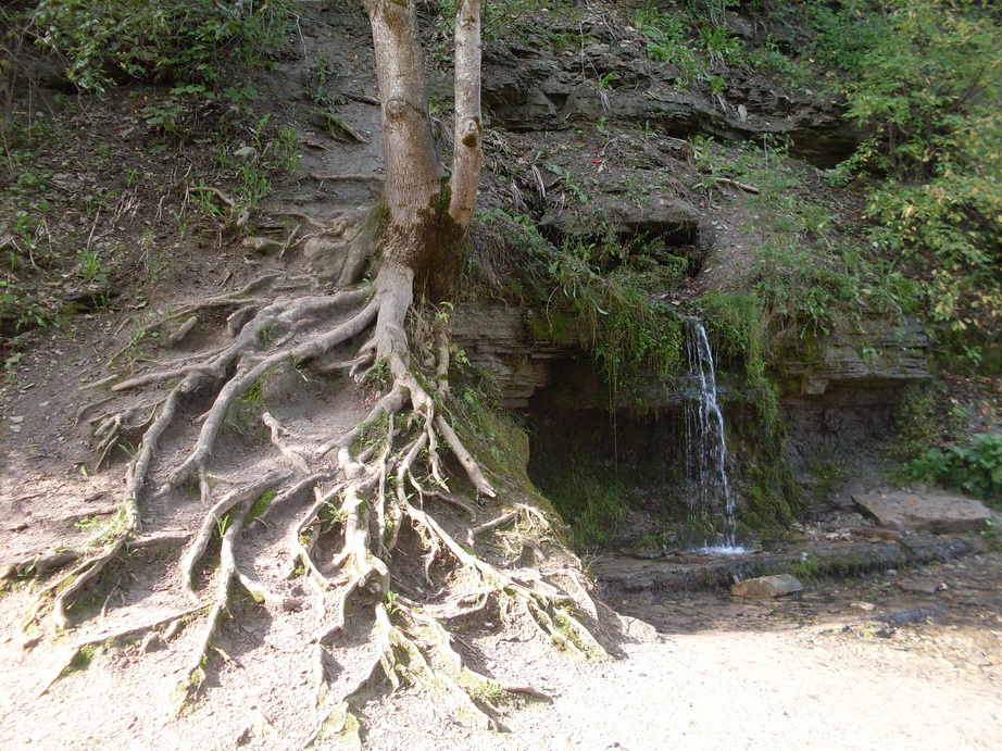 SDC12814.JPG