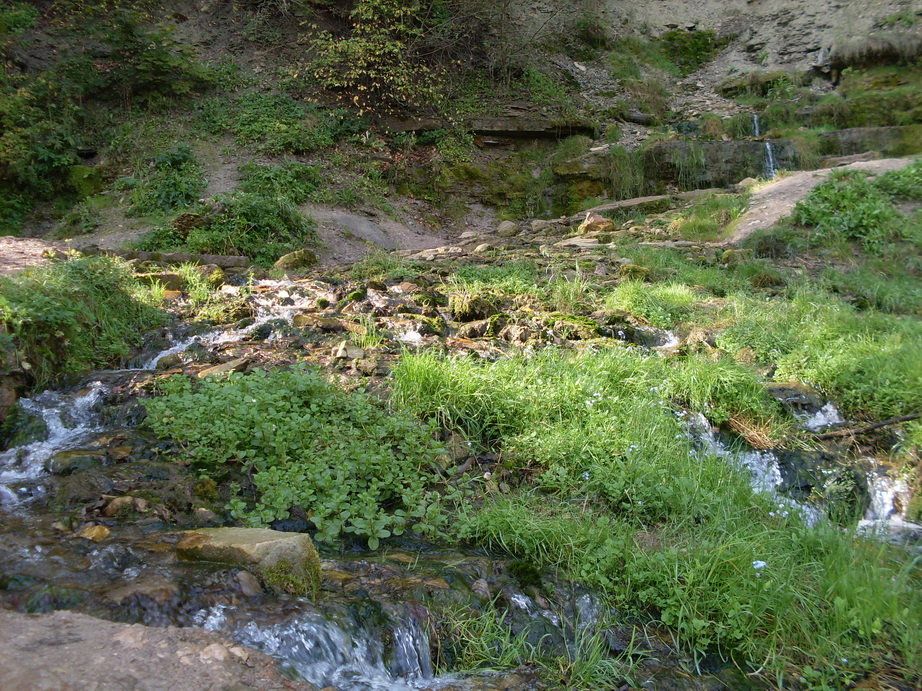 SDC12822.JPG