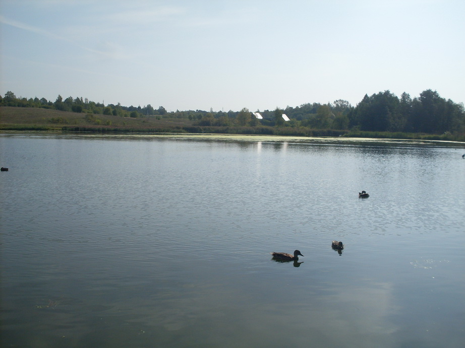 SDC12829.JPG