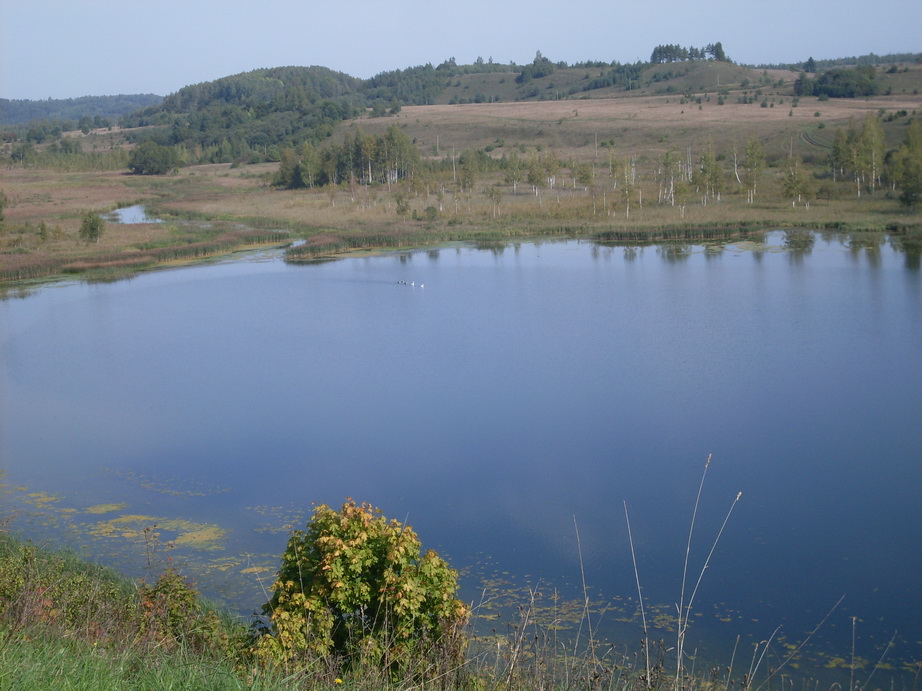 SDC12837.JPG