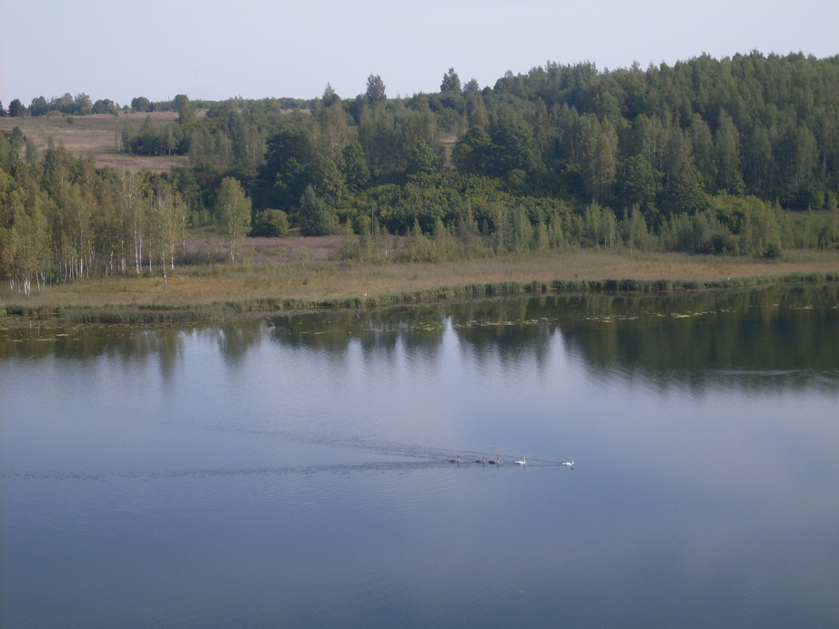 SDC12842.JPG