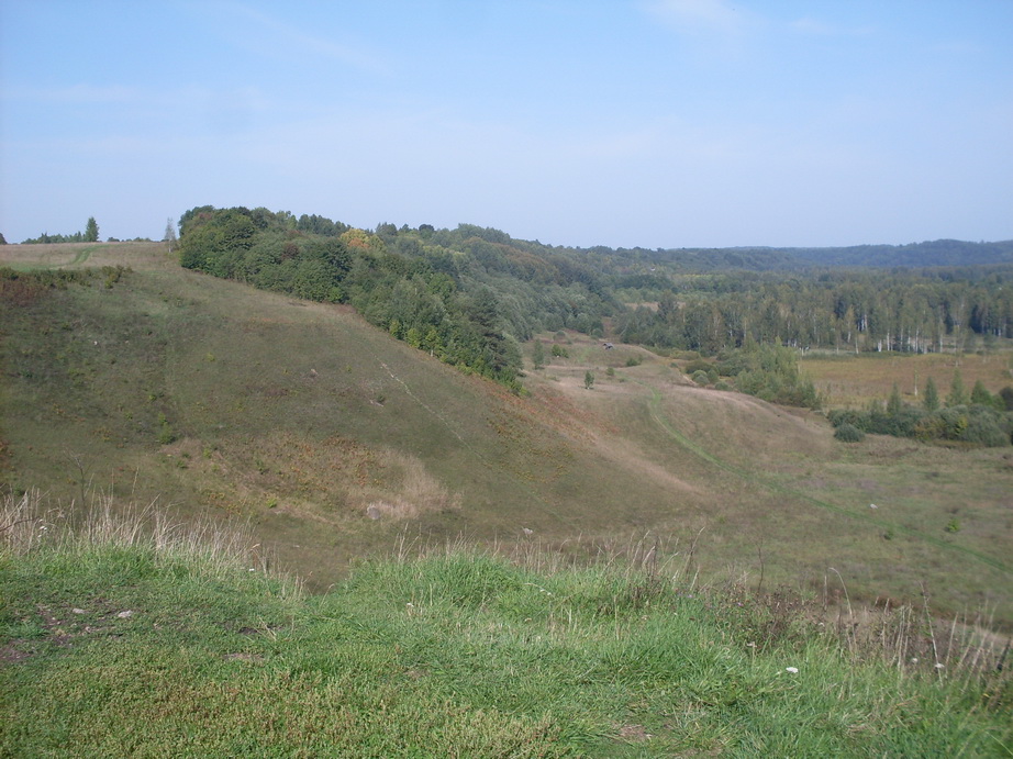 SDC12873.JPG