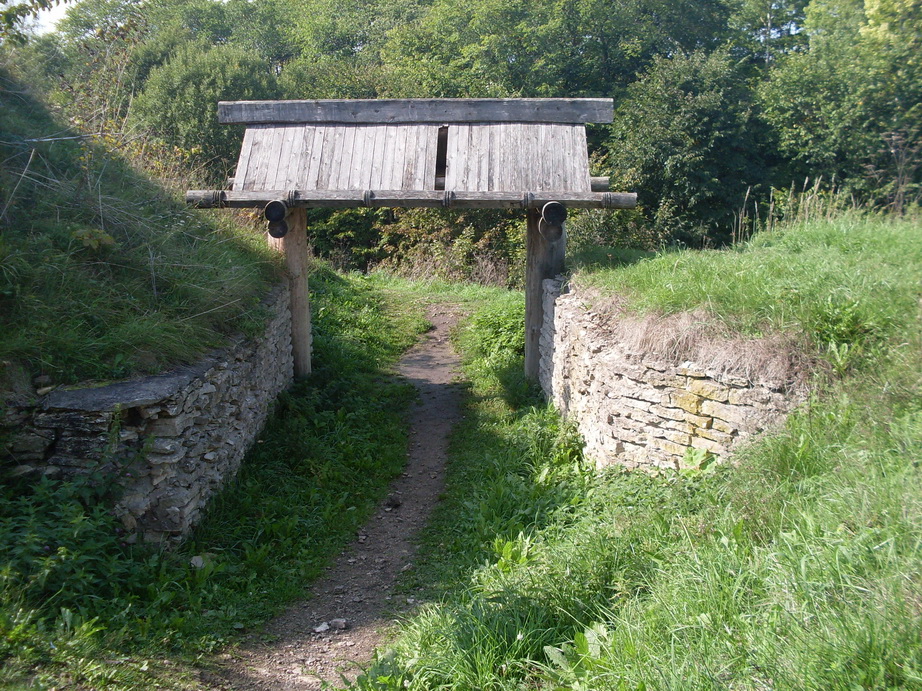 SDC12886.JPG
