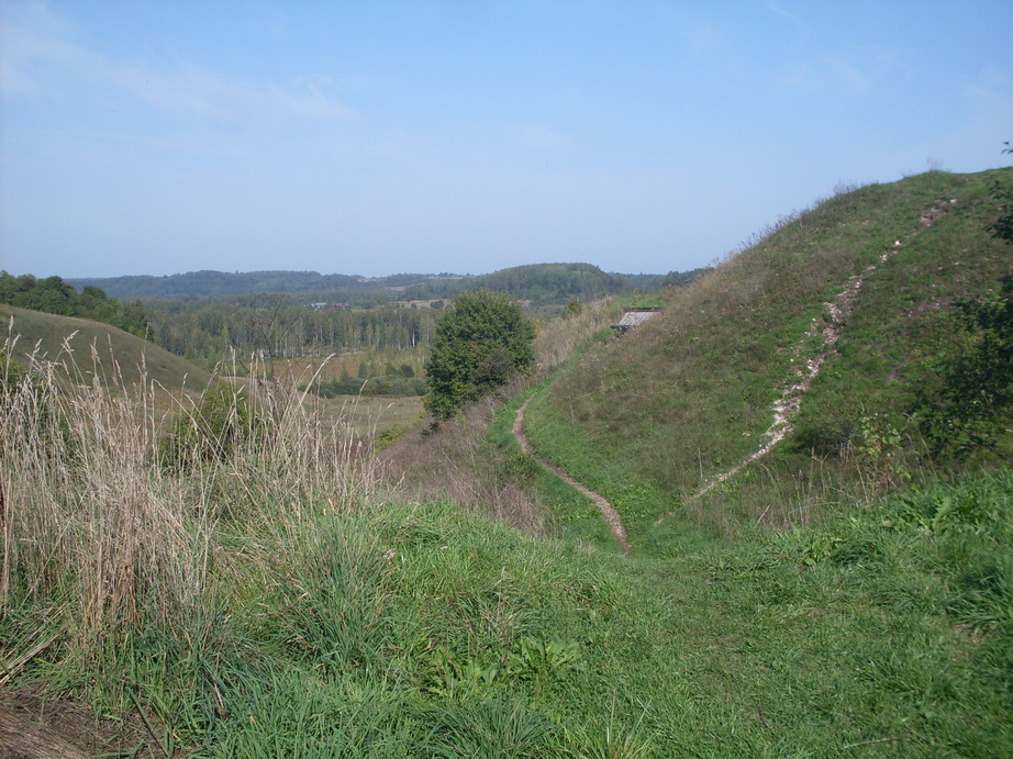 SDC12899.JPG