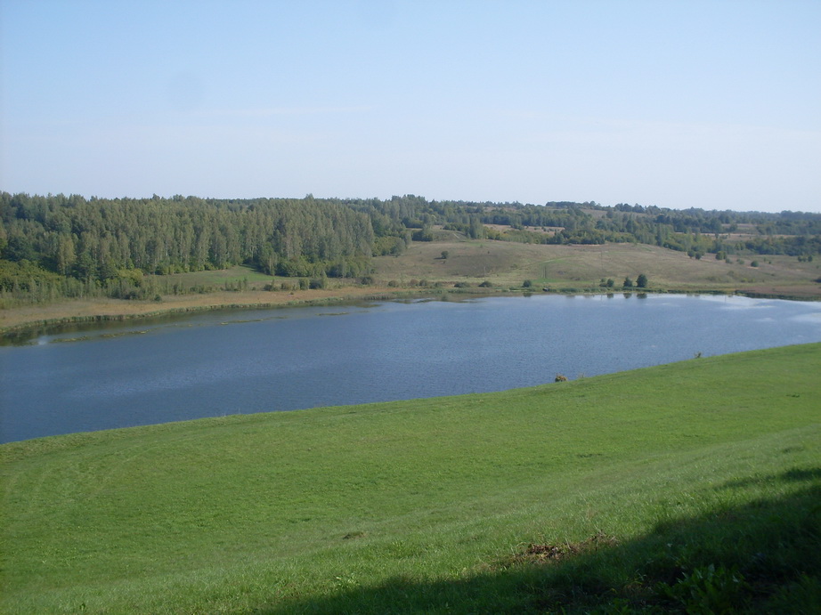 SDC12911.JPG