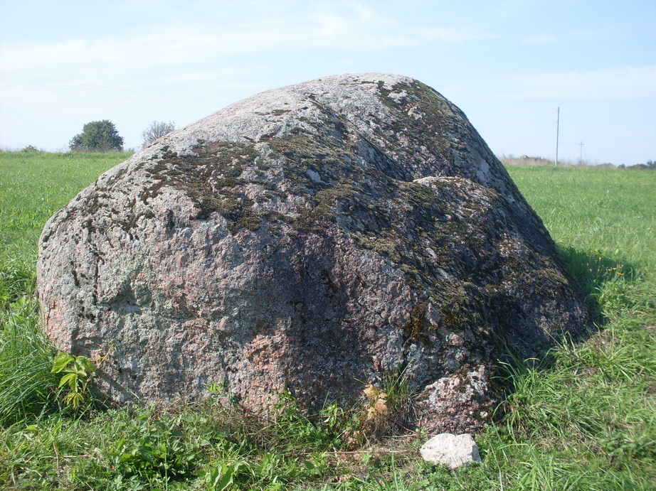SDC12915.JPG