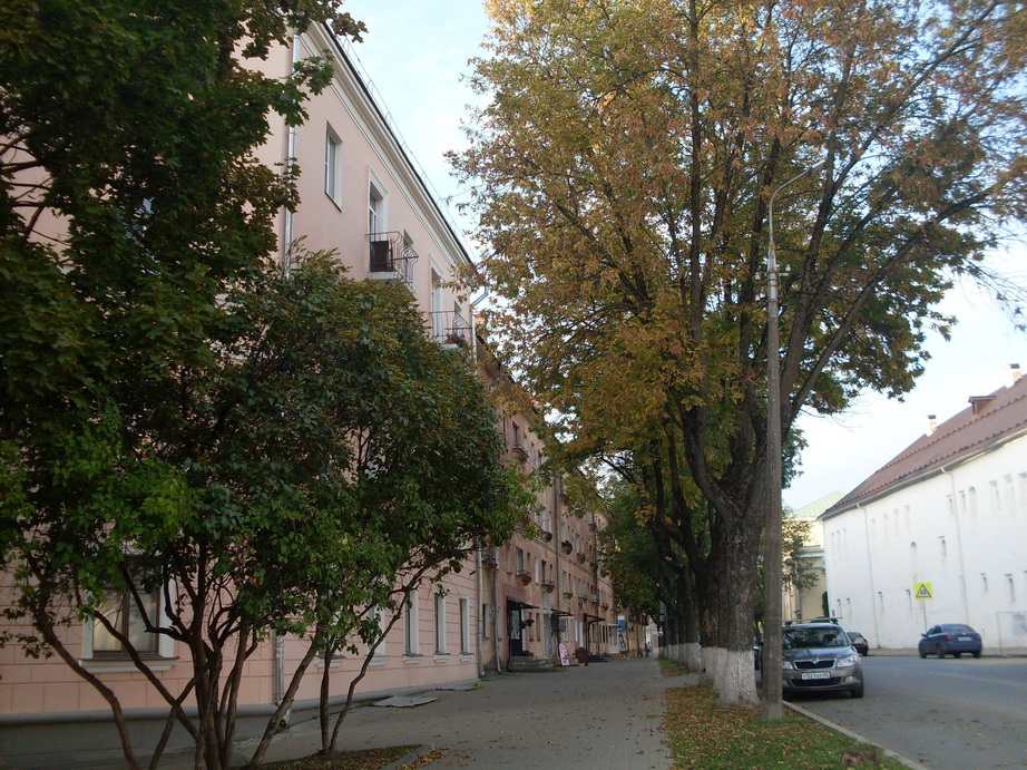 SDC12993.JPG