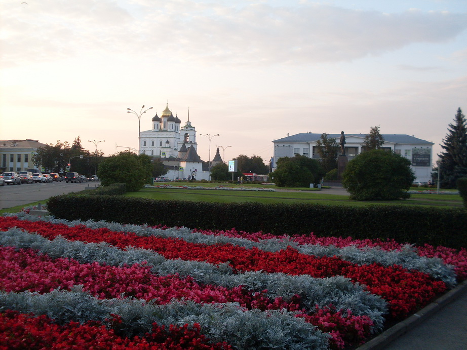 SDC13055.JPG