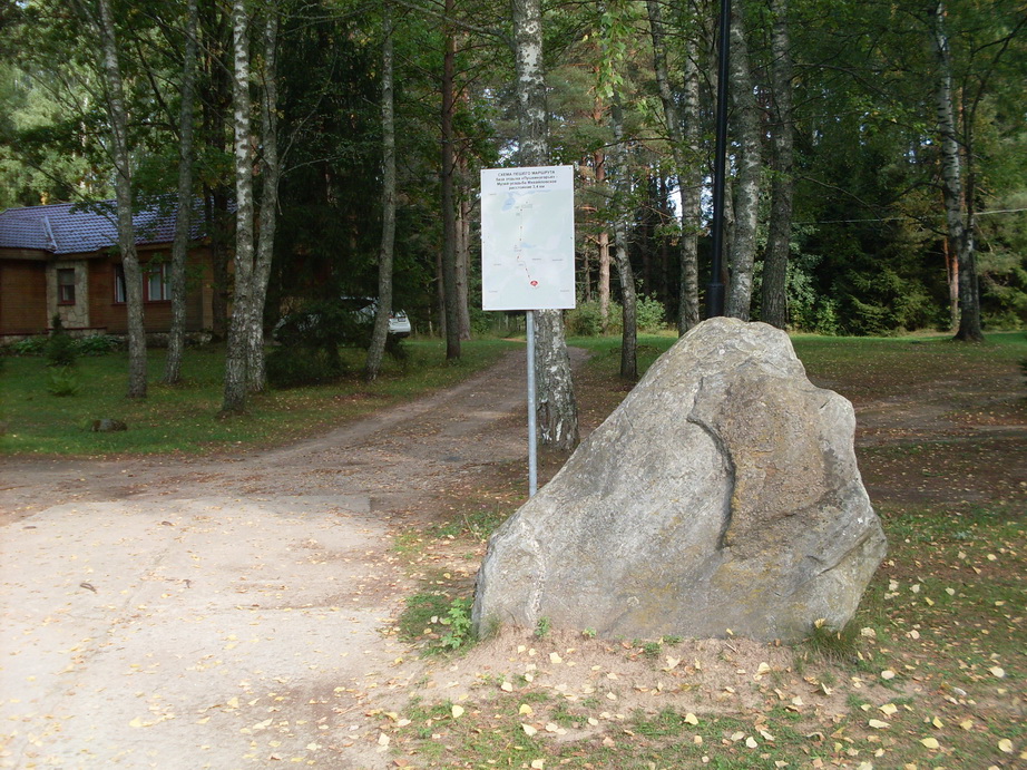 SDC13101.JPG