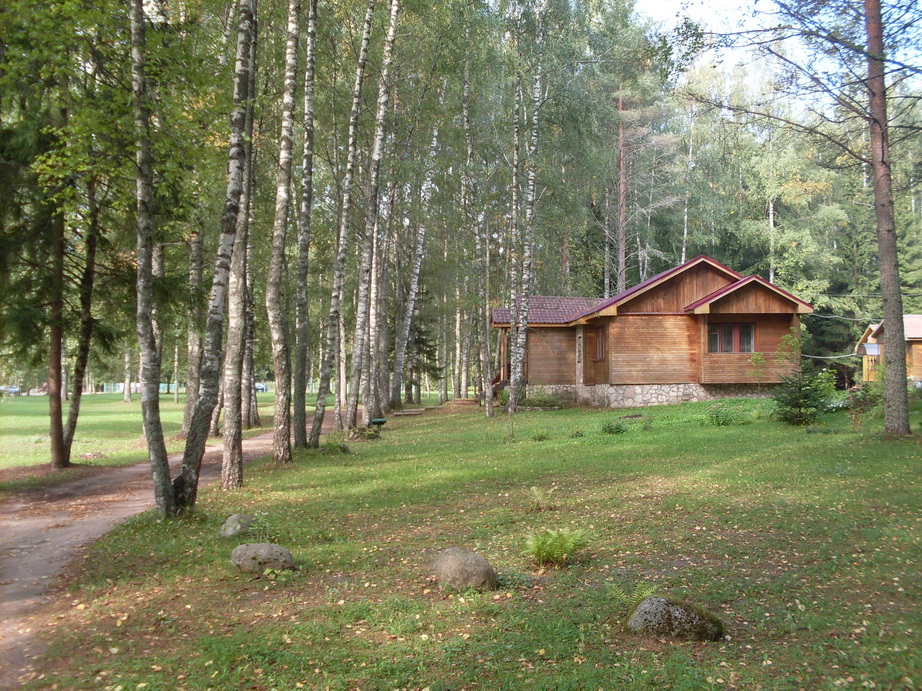 SDC13103.JPG