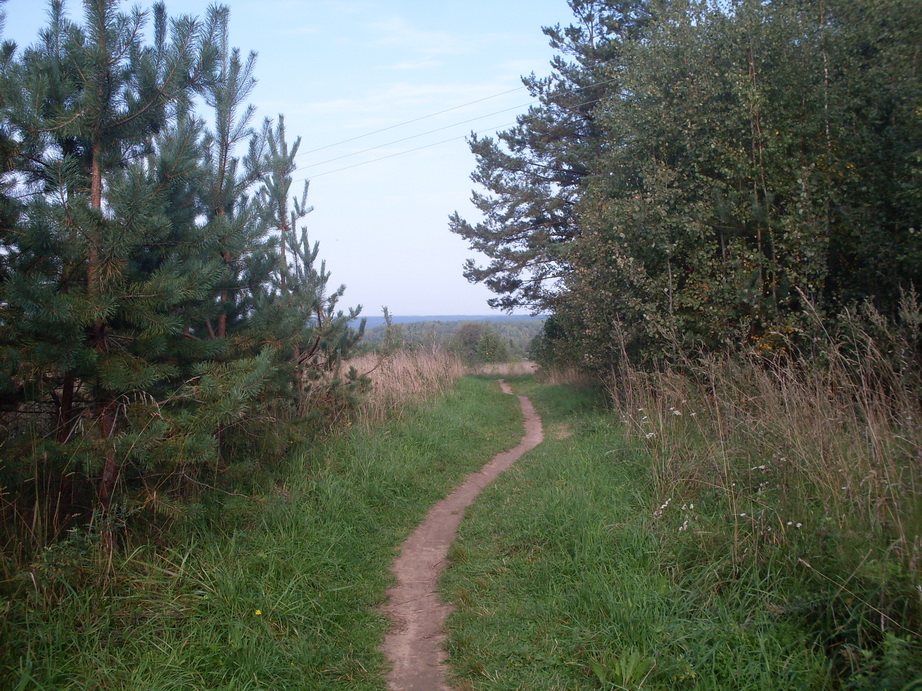 SDC13107.JPG