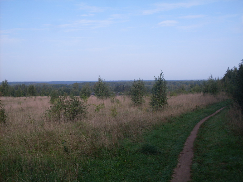 SDC13108.JPG