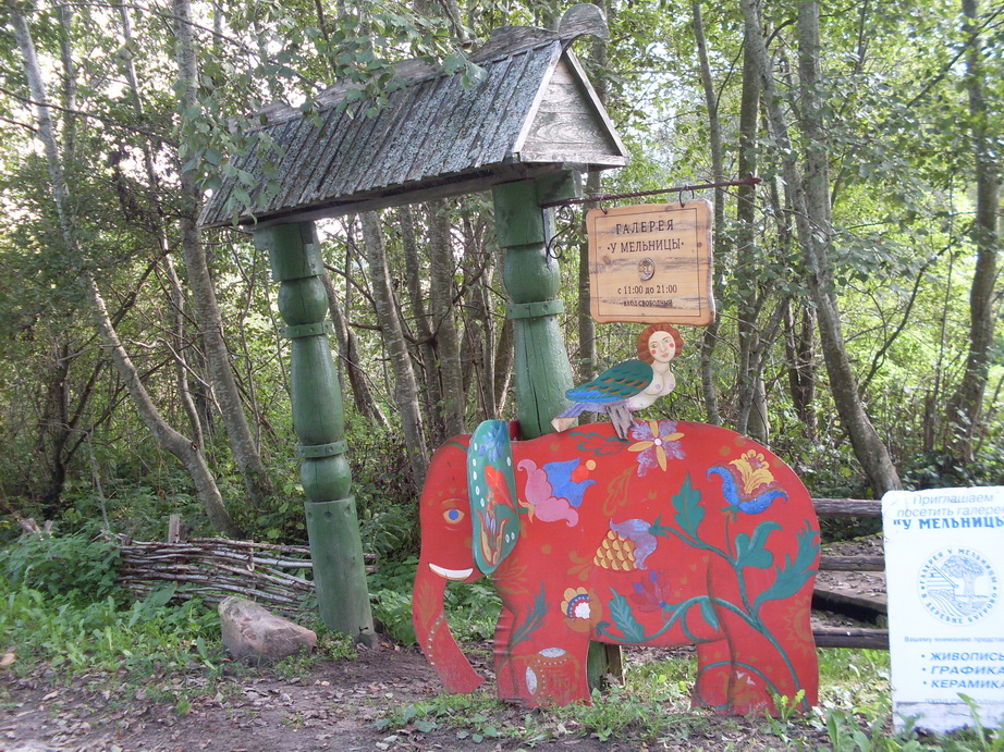 SDC13113.JPG
