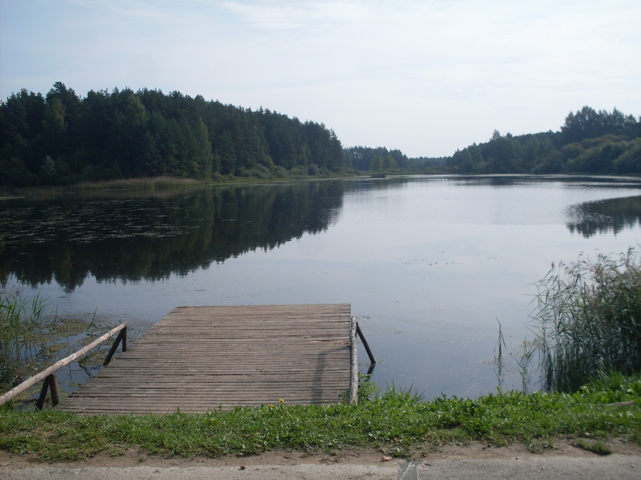 SDC13121.JPG