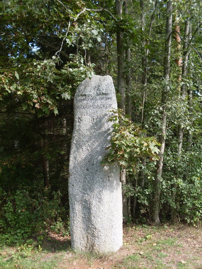SDC13126.JPG