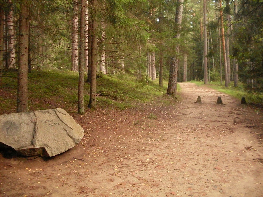 SDC13135.JPG