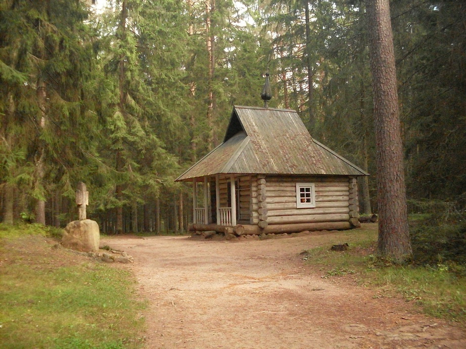 SDC13136.JPG