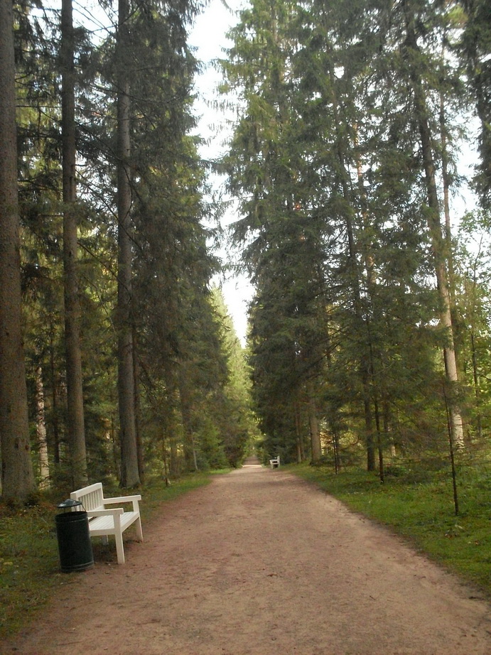 SDC13138.JPG