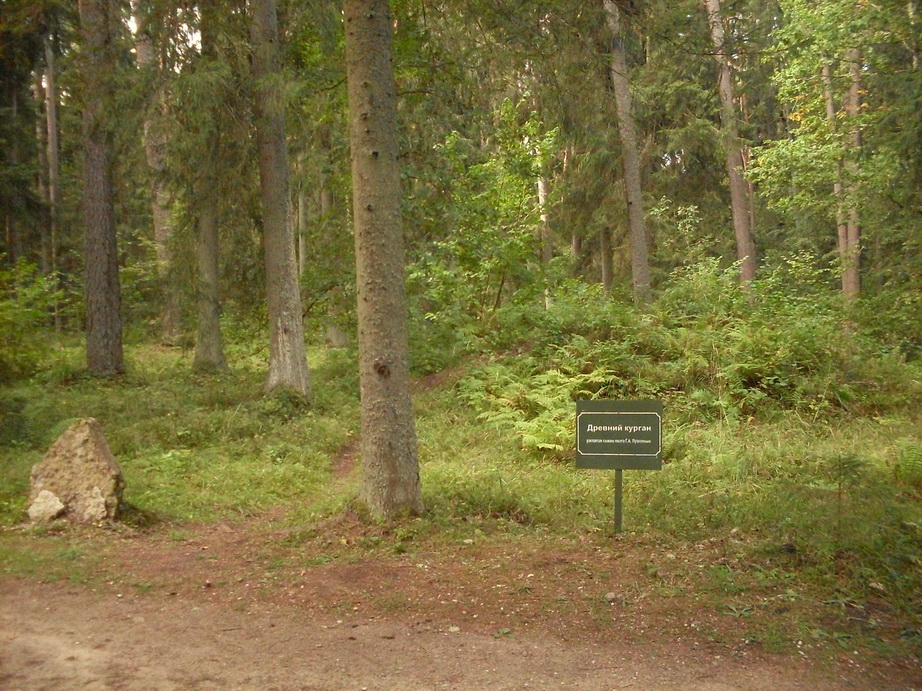 SDC13139.JPG