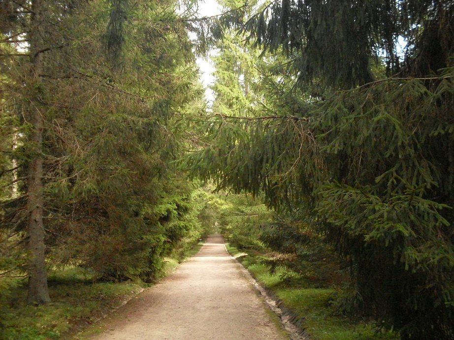 SDC13140.JPG