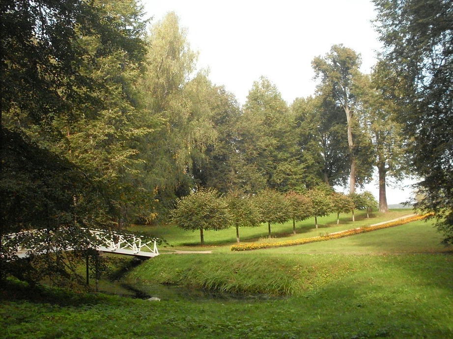 SDC13142.JPG