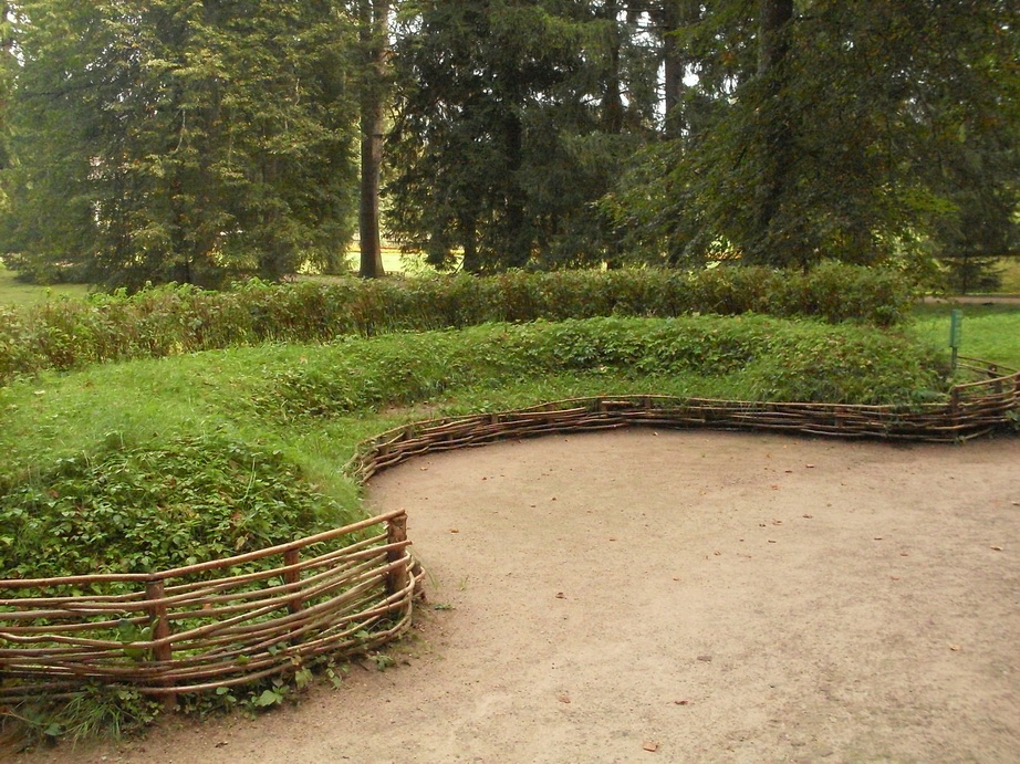 SDC13143.JPG