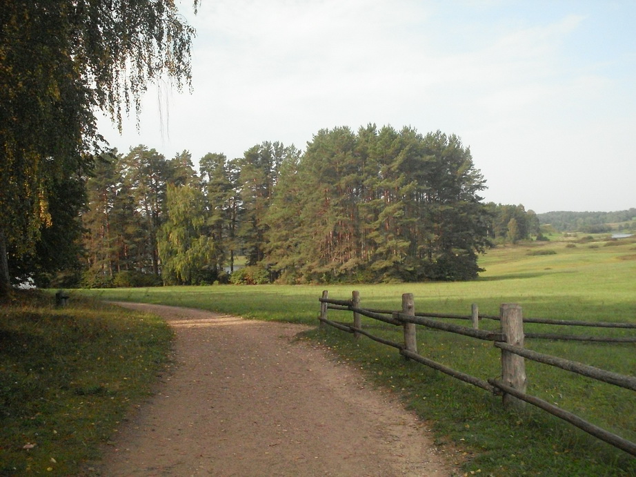 SDC13147.JPG