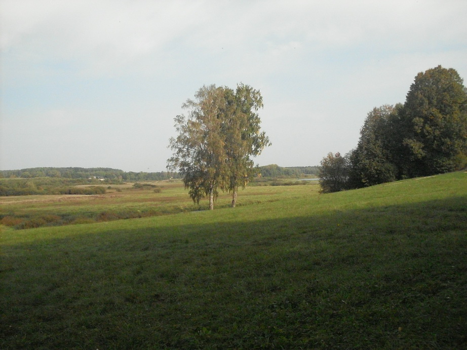 SDC13150.JPG